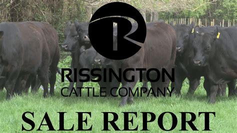 44 Farms Fall Bull Sale. . Angus sale reports